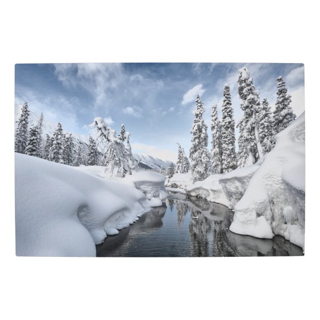 Winter Wonderland Metal Print (Front)