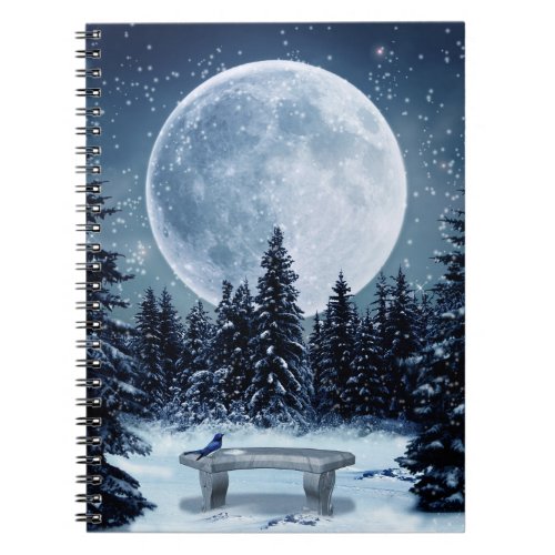 Winter Wonderland Notebook