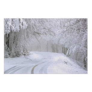 Winter Wonderland of Snow Faux Canvas Print