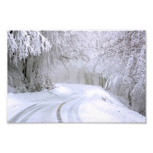 Winter Wonderland of Snow Photo Print