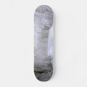 Winter Wonderland of Snow Skateboard