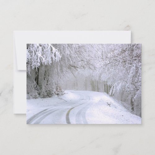 Winter Wonderland of Snow Thank You Card