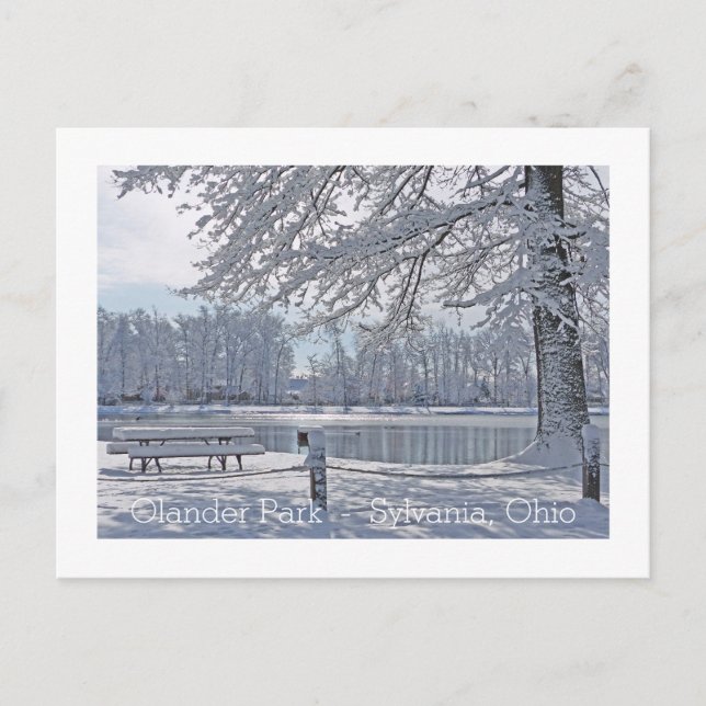 WINTER WONDERLAND/OLANDER PARK/SYLVANIA,OHIO POSTC POSTCARD (Front)