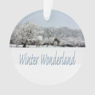 winter wonderland ornament