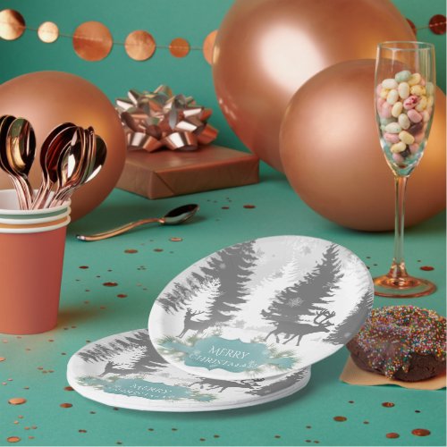 Winter Wonderland Paper Plate _ Teal