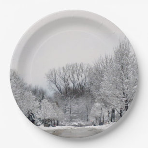 WINTER WONDERLAND  PAPER PLATES