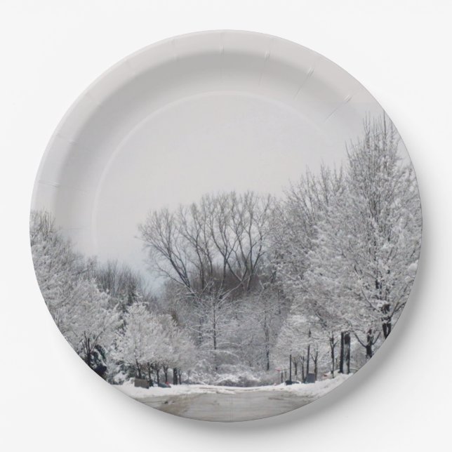 WINTER WONDERLAND  PAPER PLATES (Front)