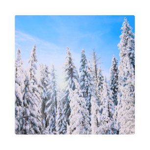 Winter Wonderland Pine Trees in Snow Metal Print