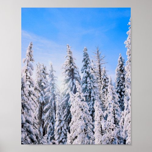Winter Wonderland Pine Trees in Snow Poster