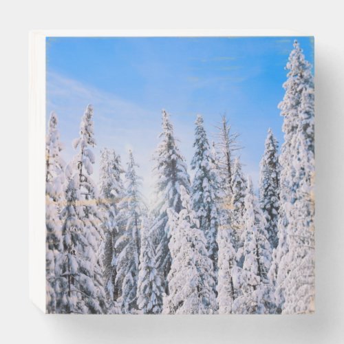 Winter Wonderland Pine Trees in Snow Wooden Box Sign