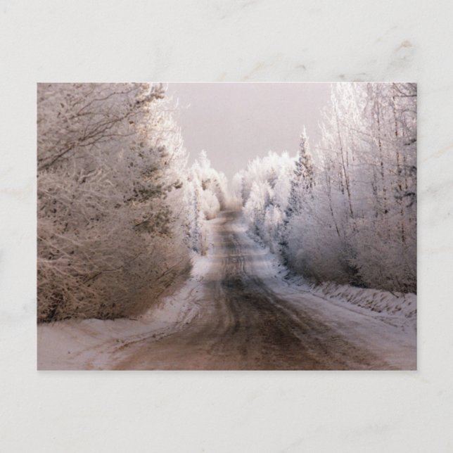 Winter Wonderland - Postcard (Front)