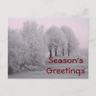 Winter wonderland postcard