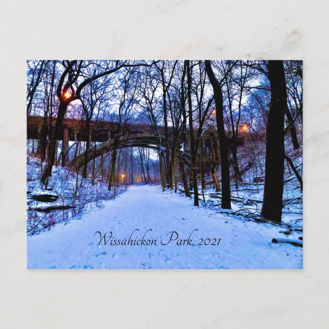 Winter Wonderland Postcard (Front)