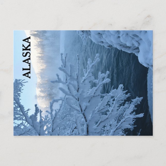 Winter Wonderland Postcard (Front)