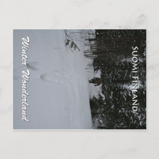 Winter Wonderland Postcard