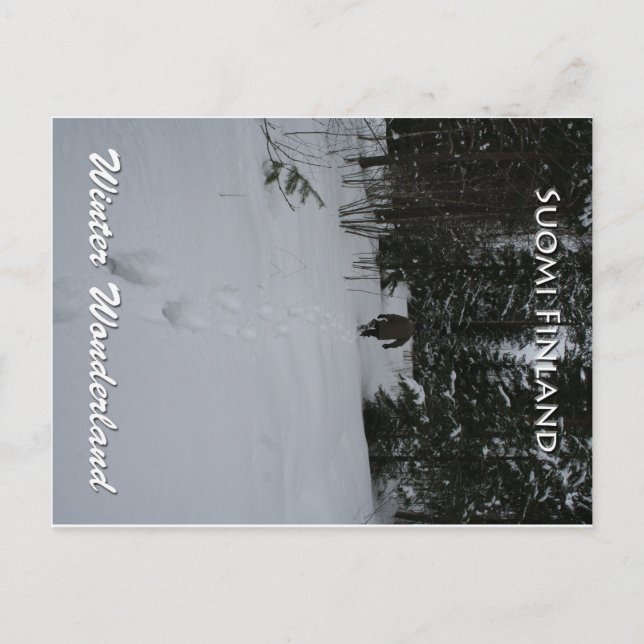 Winter Wonderland Postcard (Front)