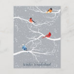 Winter Wonderland Postcard