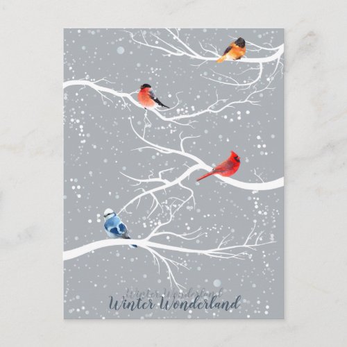 Winter Wonderland Postcard