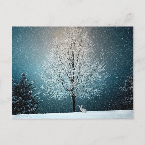 Winter Wonderland postcard