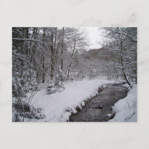 Winter wonderland postcard