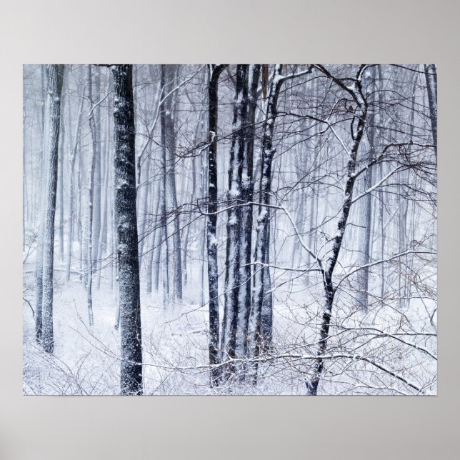 Winter Wonderland Poster (Front)