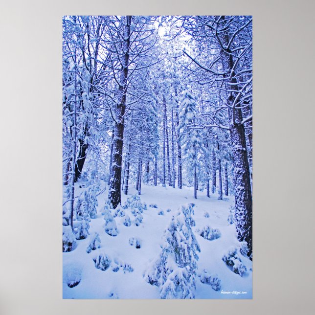 Winter Wonderland Poster (Front)