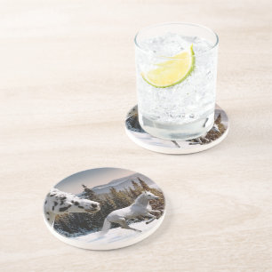 Winter Wonderland Sandstone Coaster