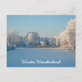 Winter Wonderland Snow Landscape Photo Postcard