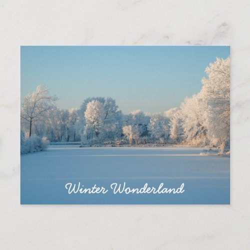 Winter Wonderland Snow Landscape Photo Postcard