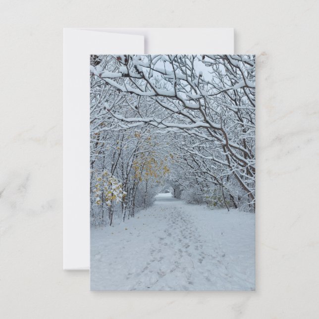 Winter Wonderland Snow Park Blank Card (Front)