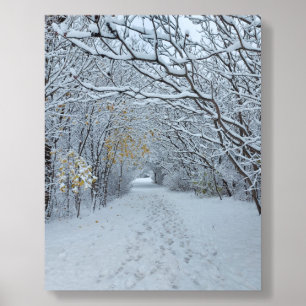Winter Wonderland Snow Park Blank Card Acrylic Photo Tile