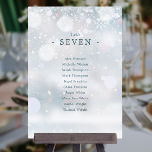 Winter Wonderland Snow Seating Plan Table Number
