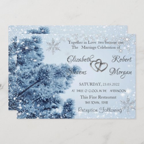 Winter WonderlandSnow Snowflakes Wedding Invitation