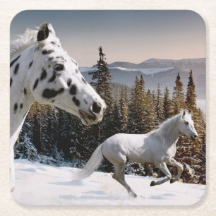 Winter Wonderland Square Paper Coaster