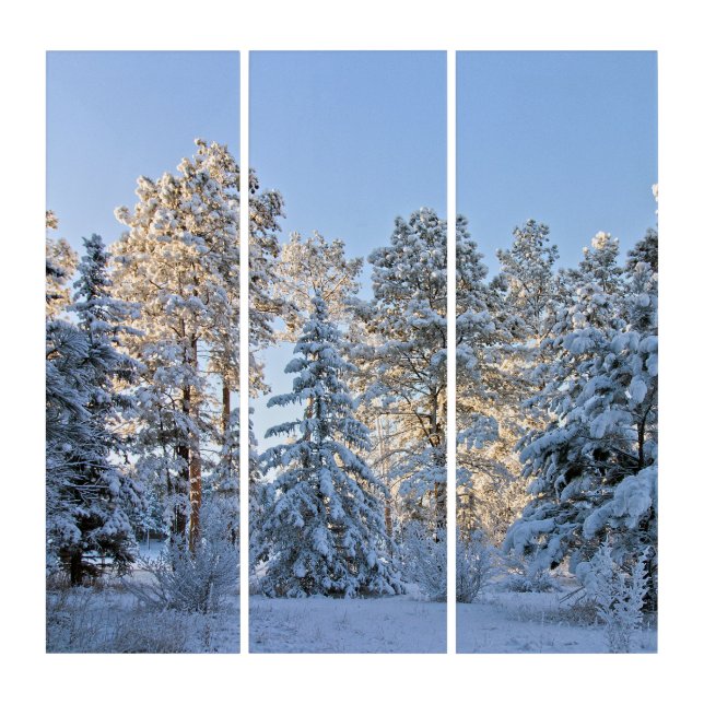 Winter Wonderland Wall art  (Front)