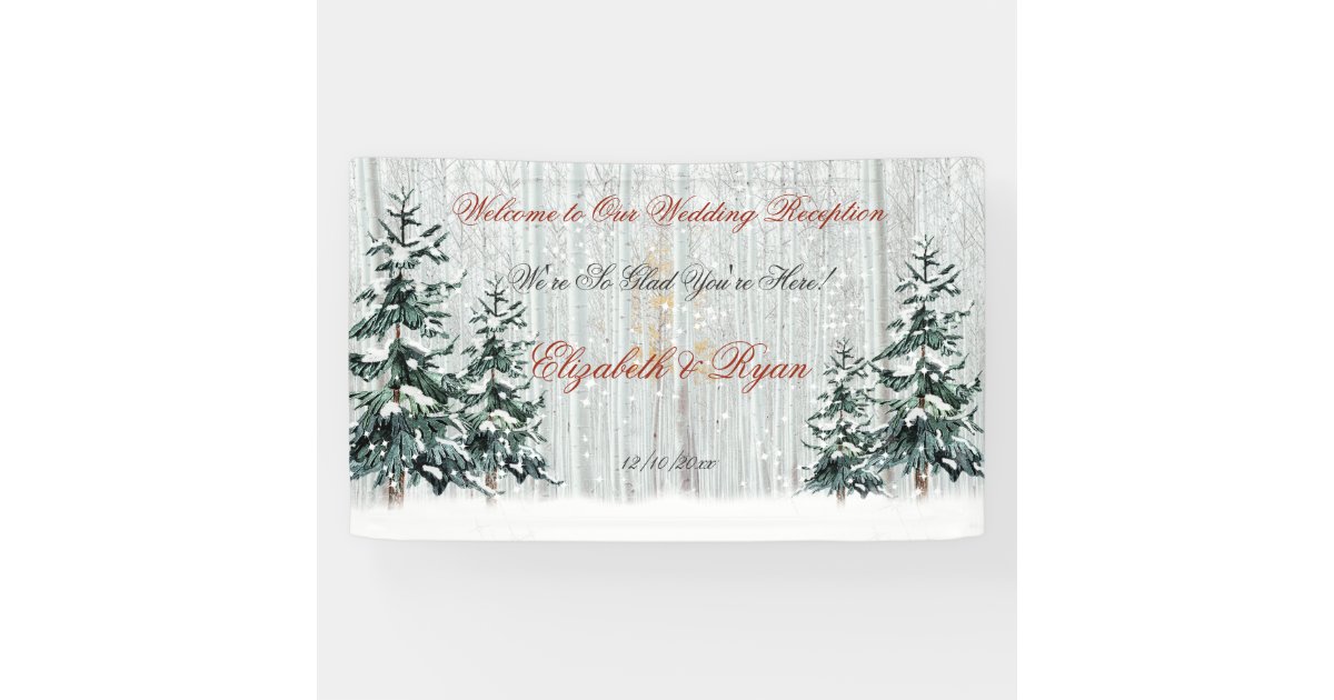 Winter Wonderland Wedding BirchTrees Stars Snow Banner