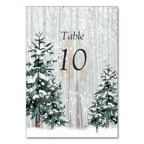 Winter Wonderland Wedding Snowflakes Pine Trees Table Number