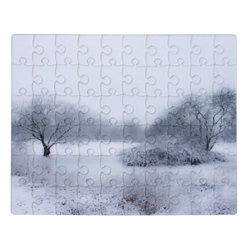 Winter wonderland _ winter landscape  jigsaw puzzle