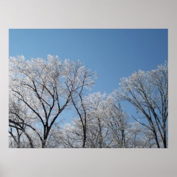 Winter Wonderland With Iced Trees Poster by WardStudios at Zazzle