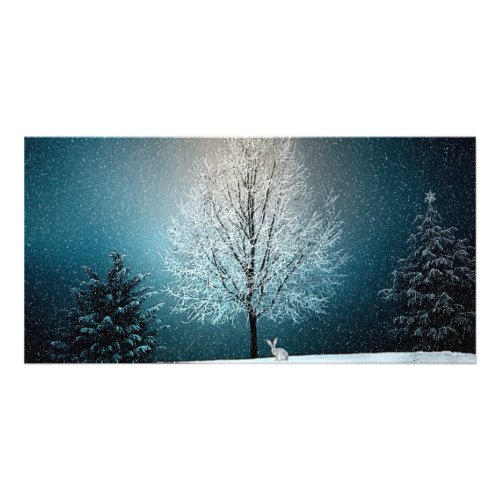 Winter Wonderland with Rabbit Card