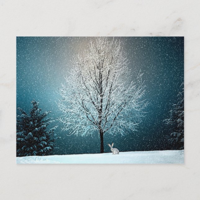 Winter Wonderland with Rabbit Postcard (Front)
