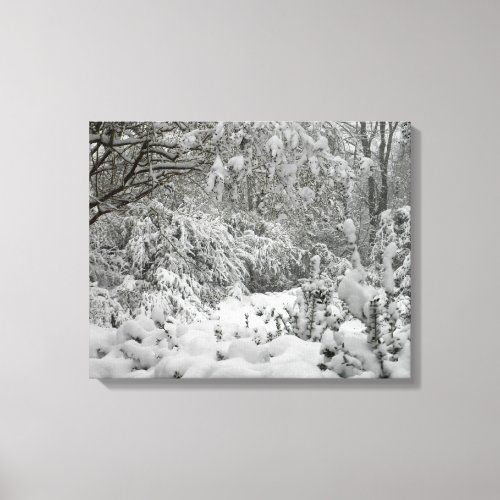 Winter Wonderland Woods in the Snow Photo Canvas
