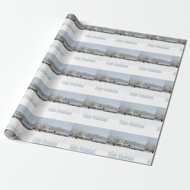 winter wonderland wrapping paper (Unrolled)