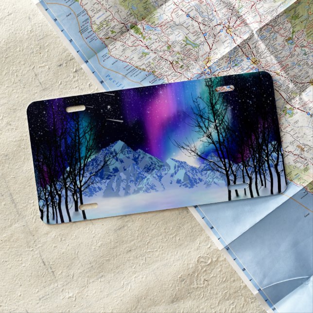 Winter Wonderlights License Plate (In Situ)