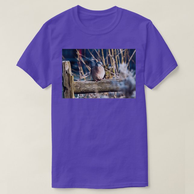 Winter Wood Pigeon T-Shirt (Design Front)
