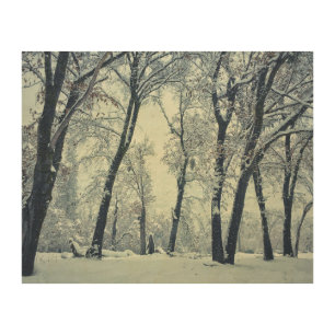 Winter Wood Wall Art