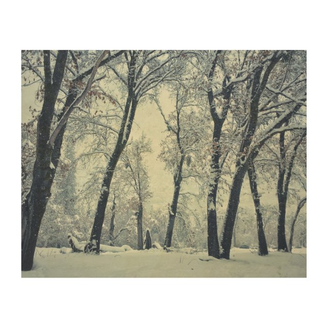 Winter Wood Wall Art (Front)