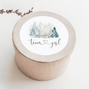 Winter woodland gender reveal team girl stickers