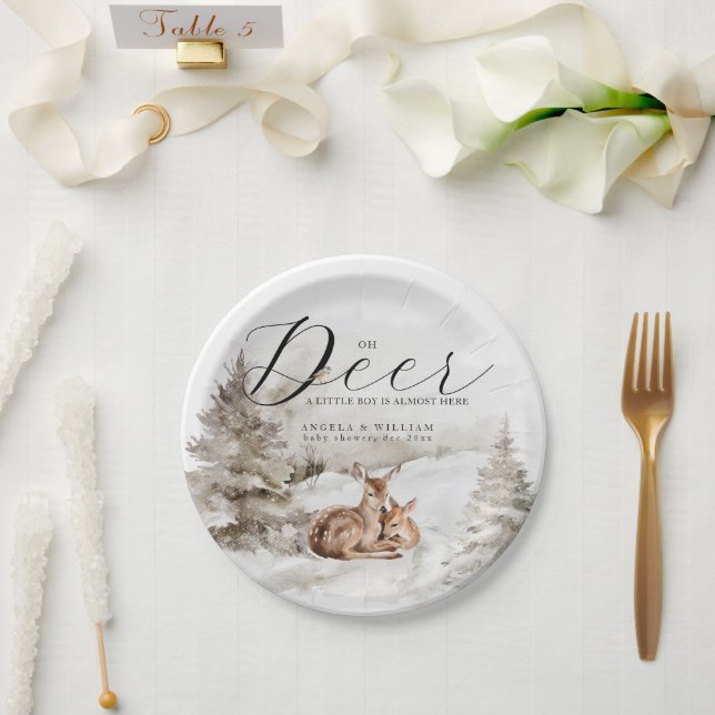 Winter Woodland Oh Deer Theme Baby Boy Shower Paper Plates (Wedding)