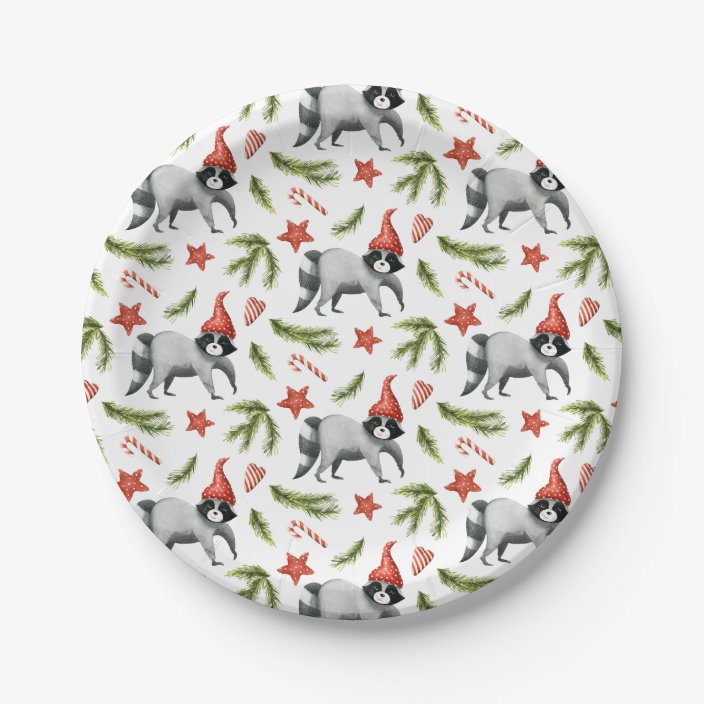 Winter Woodland Raccoons Birthday Party Paper Plate | Zazzle.com